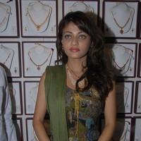 Sneha Ullal Inaugurates Kuber Jewellery Opening - Gallery | Picture 90952
